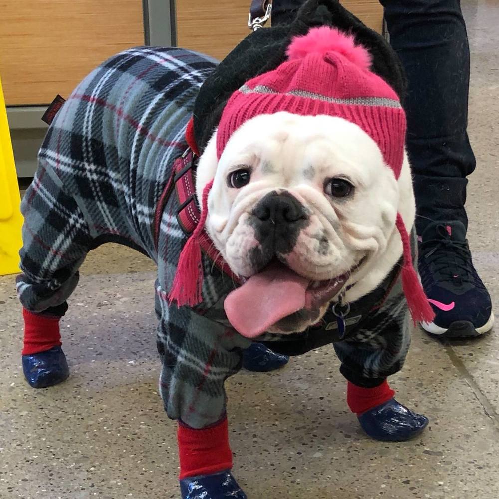 Meet your Posher, 有紀